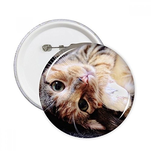Bouton d'insigne chat adorable : idée cadeau originale pour passionné d'animaux