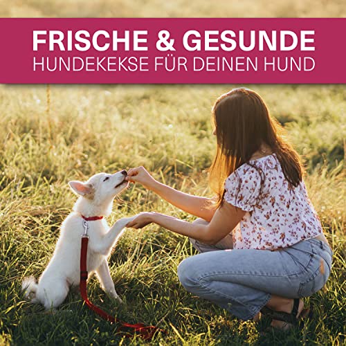YAVA® Mini Knochen (2cm) Backmatte Hundekekse, Premium Silikon Backmatte für Hundeleckerli, Leckerli Backmatte für Hunde, Backmatten für Hundeleckerlies, Backform, Pralinenform, BPA-frei (Bordeauxrot)