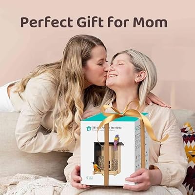 Birdfy Camera with Bamboo AI Bird Feeder Solar Camera
