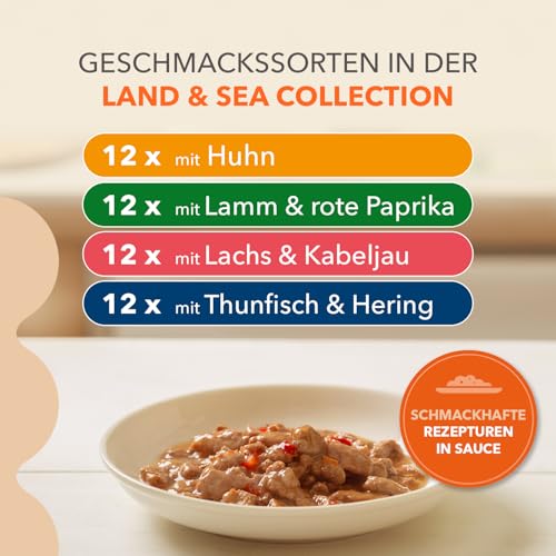IAMS Delights Land & Sea Collection Senior Katzenfutter Nass - Multipack mit Fleisch und Fisch Sorten in Sauce, Nassfutter für ältere Katzen ab 7 Jahre, 48 x 85 g