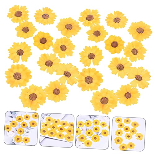 96 unidades flores secas para manualidades DIY miniatura 5