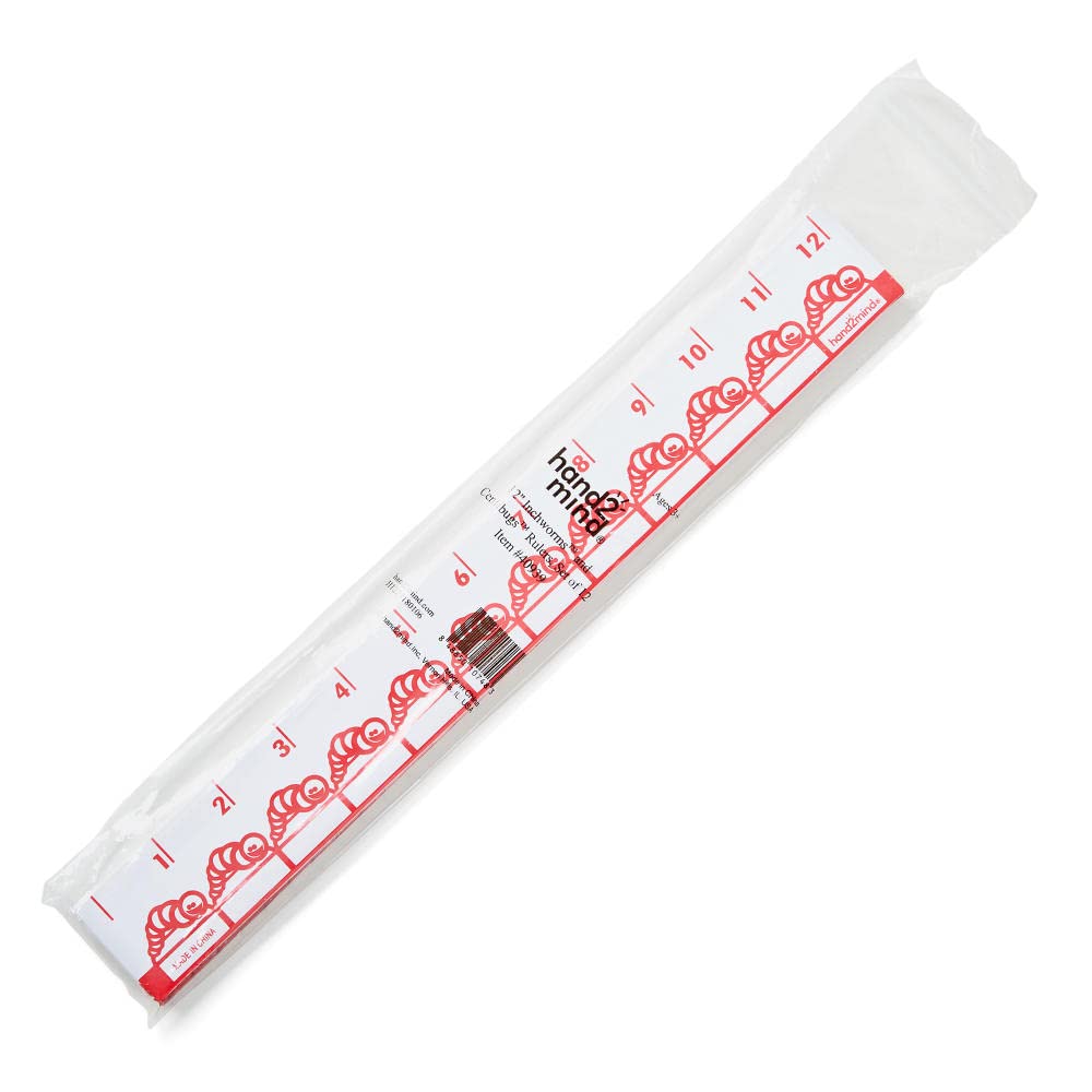 Inchworm With Ruler Clipart Amazon.com: Children's Wall Decals