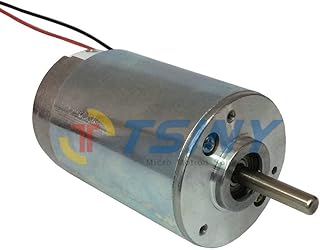Davitu DC Motor - Tiny DC Motor DC12V 2600rpm Micro Brush Motor PMDC Ball Bearings Long Life Motor 12v dc electric motor