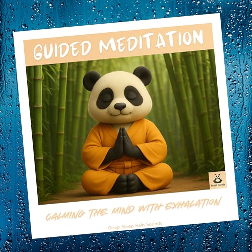 Steady Bamboo Rain Sleep Therapy song by Medi Panda from Guided ...