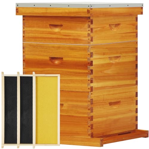 TRINFREE 10-Frame Langstroth Beehive Beeswax Coated 3 Layer Complete Bee Hive Kit Include Bee Frames and Waxed Foundation Sheets for Beekeeping (2 Deep Boxes & 1 Medium Box)