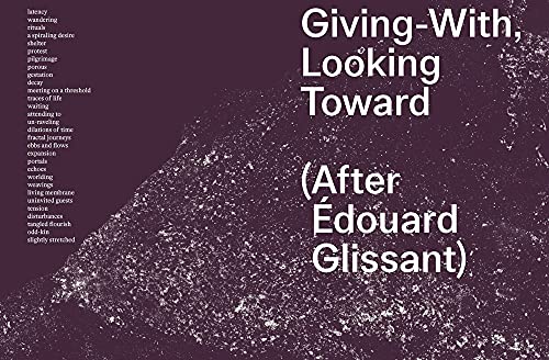 Slow Spatial Reader Chronicles of Radical Affection ouvrage de recherche