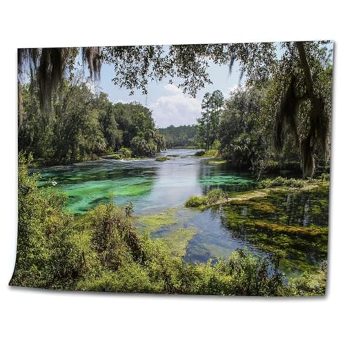 VETEB Paint by Numbers Kit for Adults Beginner Rainbow Springs headwaters Panorama DIY Painting on Canvas by Numbers Acrylic Oil Painting for Home Decor Gifts 16"x20"
