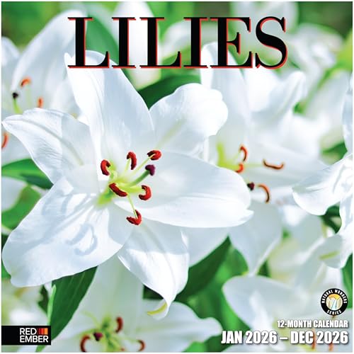 RED EMBER Lilies 2026 Wall Calendar 12 Month | 12"