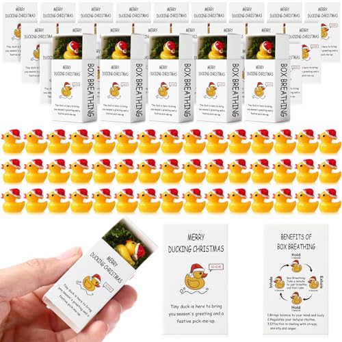 Cinnvoice 50 Sets Christmas Bulk Gifts for Coworkers Mini Lucky