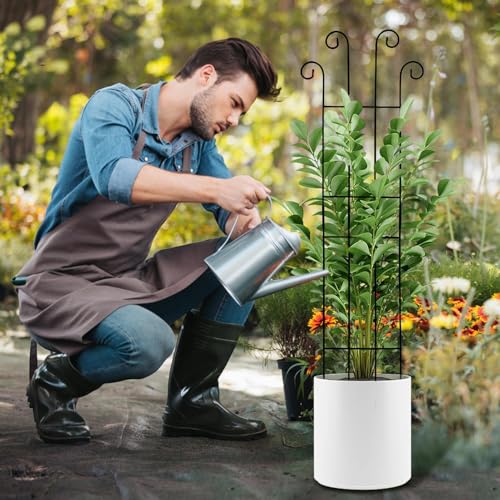 Treillis réglable pour monstera et pothos, tuteur décoratif robuste - 4