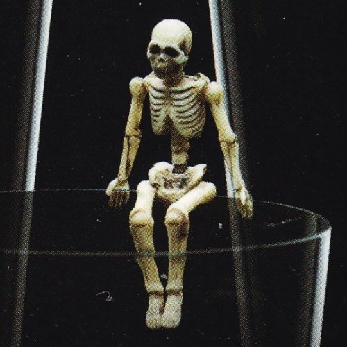 コップのフチボーン 【4.座るボーン】(単品)