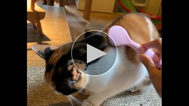 Amazon | ビューティーワールド グルーミングブラシ 猫舌とろん