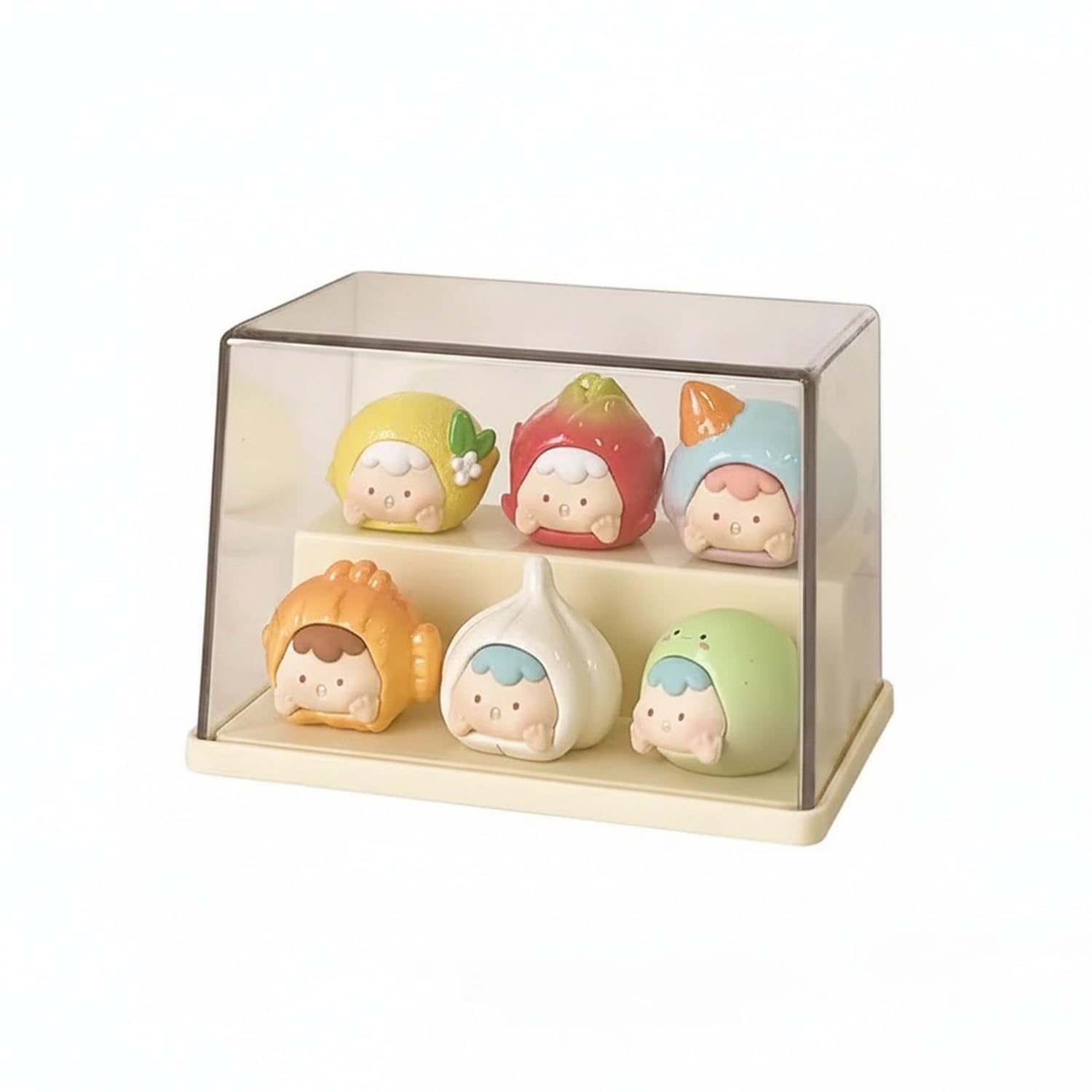 Contenitore per Esposizione, 1 PC