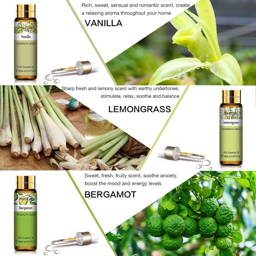 PHATOIL-Coffret-Dhuiles-Essentielles-Bio-pour-Diffuseur-9-x-10-ml-Citronnelle-1-Bois-de-Santal-Vanille-Citronnelle-2-Lavande-Ylang-Eucalyptus-Menthe-Poivree-Bergamote