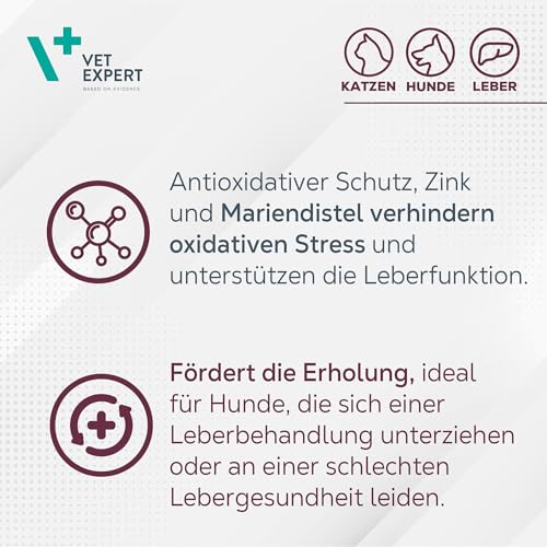 VetExpert Hepatiale Forte | 40 Tabletten | Ergänzungsfuttermittel für Hunde und Katzen