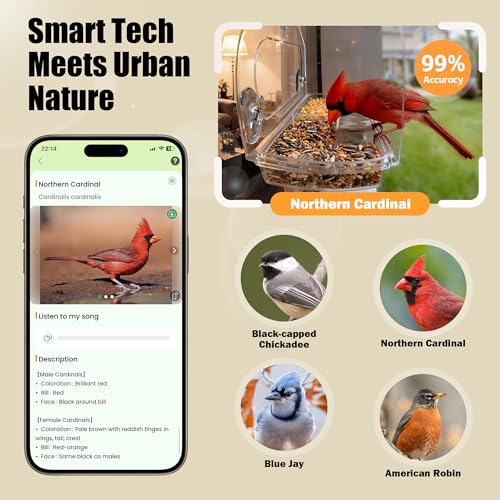 RichBird 2K Smart Camera Window Bird Feeder w/ AI Bird Identification - image 3