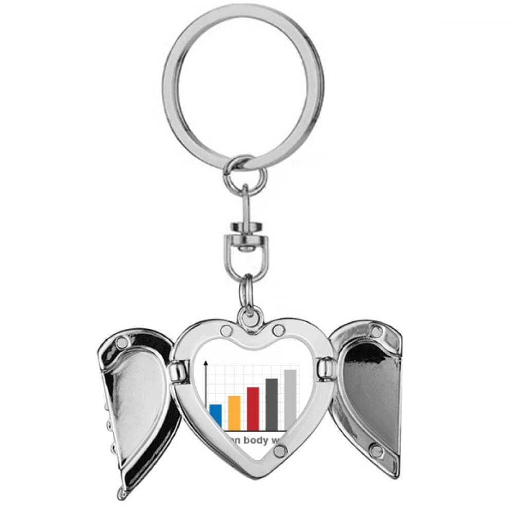 Charts People Weight Gain Heart Angel Wing Key Chain Holder