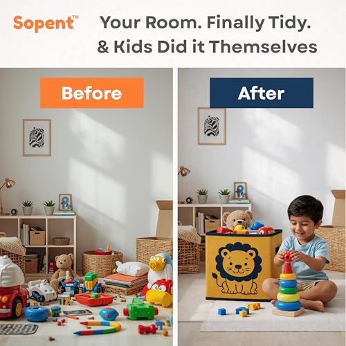 Image of Sopent Foldable Storage Boxes (Lion)
