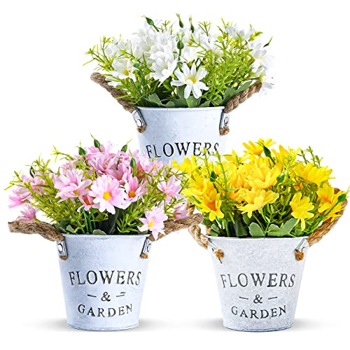 Top 16 der besten Deko Pflanzen - Ratgeber