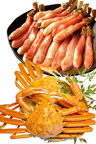 生 ズワイガニ フルカット 極太 ポーション 500G (2-3人前) / ボイル 姿500g×2 セット【冷凍】 越前宝や かに刺し カニ鍋 カニしゃぶ 焼き蟹 用 ずわいがに