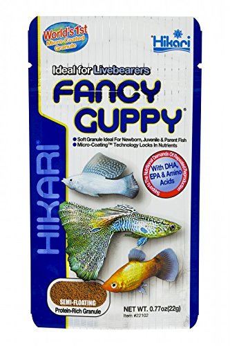 Hikari Tropical Fancy Guppy Aquarium Fish Food, 22 g