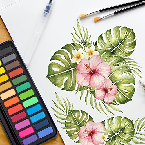 Aquarellfarben Stationery Island Creative Collection Set
