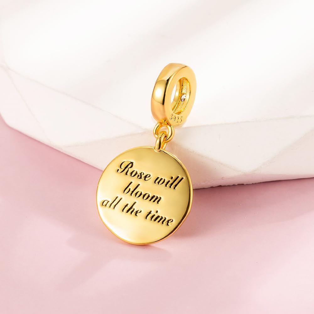 LaMenars Charms for Women Bracelets & Necklace, 925 Sterling Silver Family Love Pet Pendant Dangle, Birthday & Holiday Gift Idea for Women - Image 3