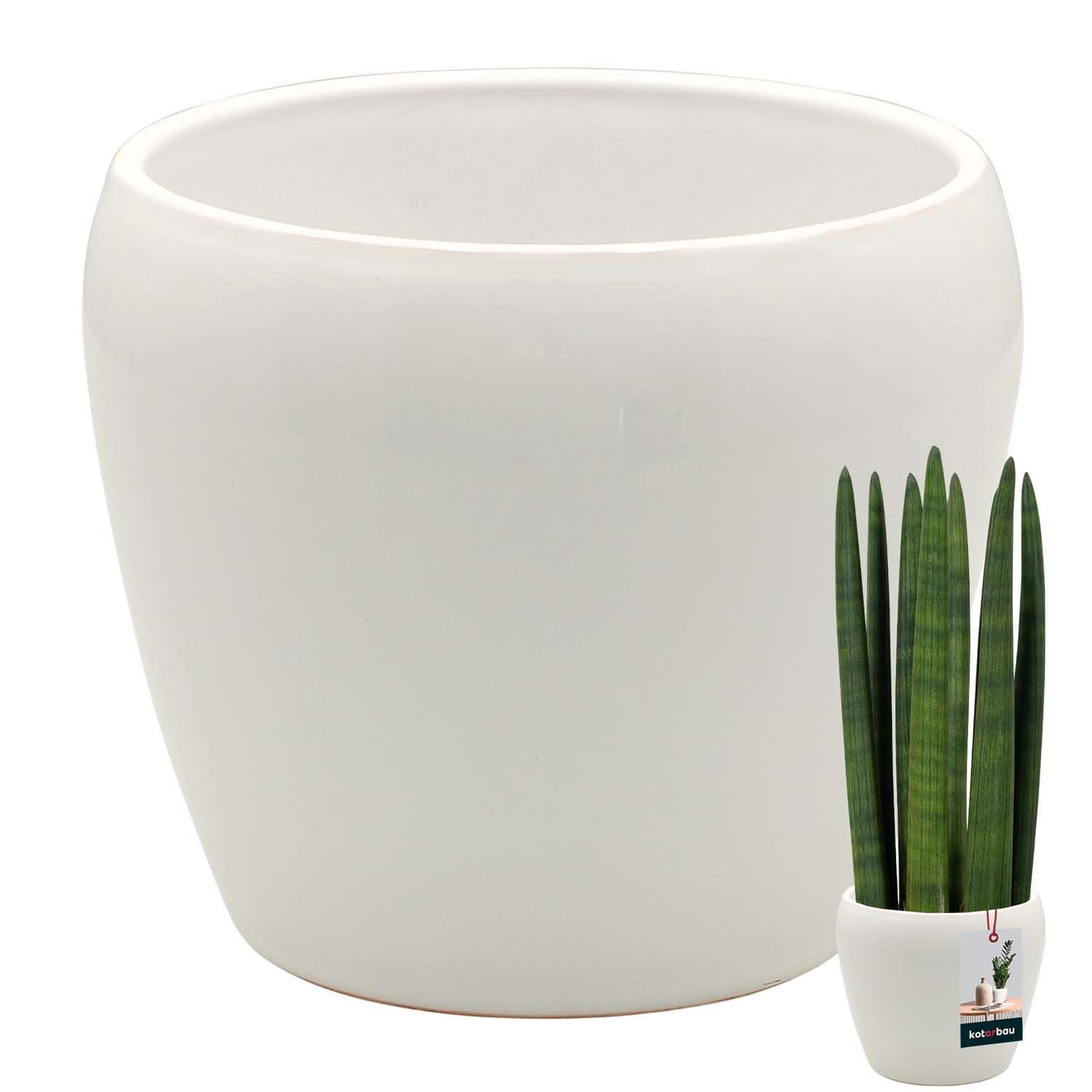 KOTARBAU® Flower Pot White Inside Round Diameter 15 cm Height 15 cm Glazed Ceramic Flower Pots Indoor Flower Pot Plant Pot Indoor Orchid Planters Flower Pot Large Flower Pot