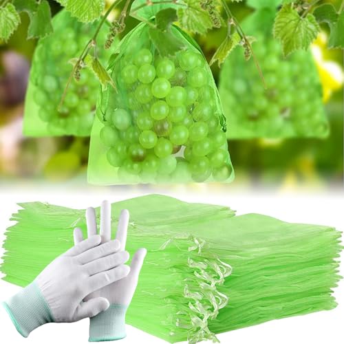 100 Stück Traubenschutzbeutel 20x30cm - Schutz Vor Wespen & Vögeln In Armeegrün