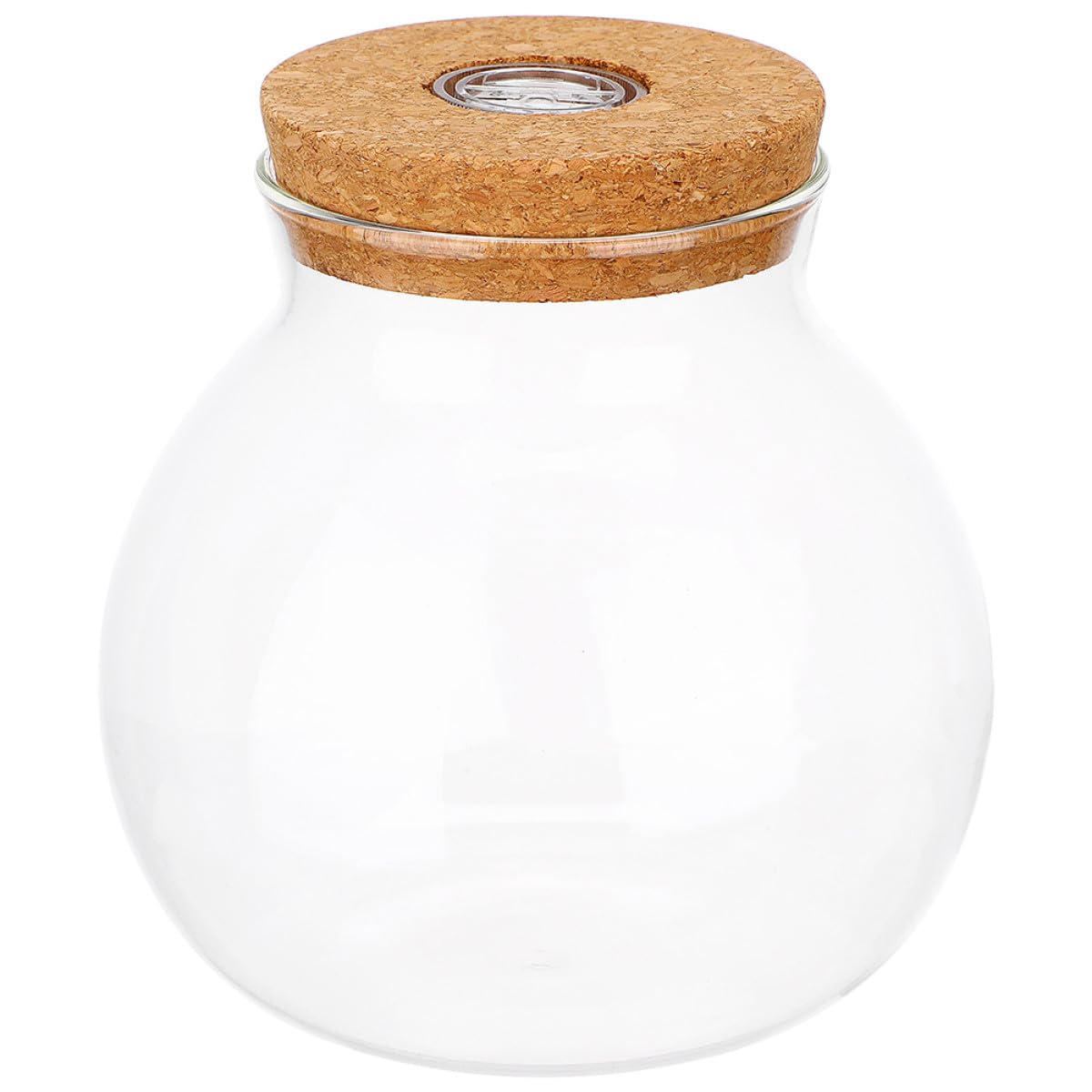 VALICLUD Terrario in Vetro con Coperchio in Sughero da 15x16 Cm, Vaso Idroponico da Tavolo per Piante Aeree e Propagazione, Fioriera Trasparente Decorativa per Ufficio e Casa
