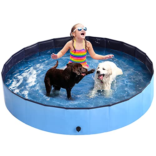 10 Best PVC Kiddie Pools BabyStuffLab