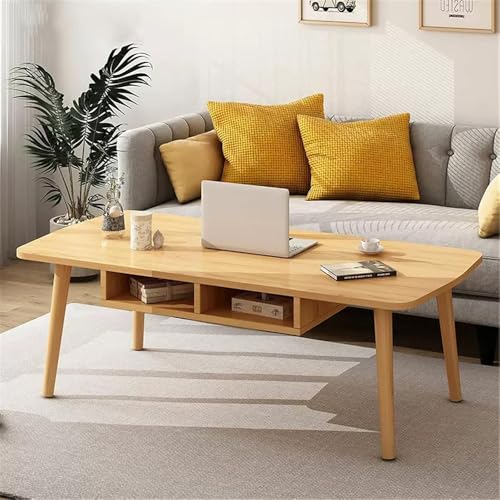 ローテーブル 収納付き センターテーブル 幅100×奥行50×高さ42.5cm 木製 北欧風 おしゃれ 省スペース コンパクトデスク 一人暮らし ミニ机 ナチュラルインテリア リビング 作業スペースに最適
