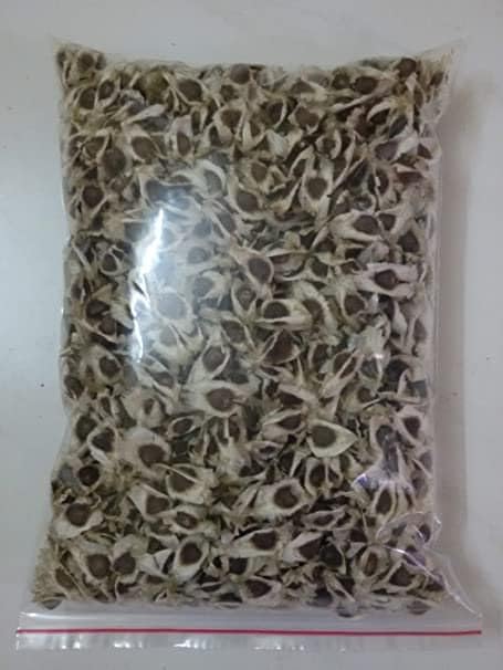 PKM2 Variety Drumstick Seeds 250 gms (Saijan ki Phalli,Saragavo) Moringa/Drumstick Seeds - PKM2 Variety - 250 gram for Plantation Purpose - Approx 700 seeds (B0CC514RTQ) Amazon Price History, Amazon Price Tracker
