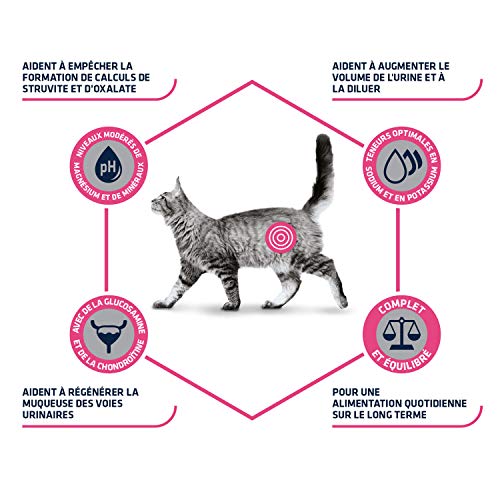 Katzenfutter für Harnwegsgesundheit – Affinity Advance Veterinary Diets