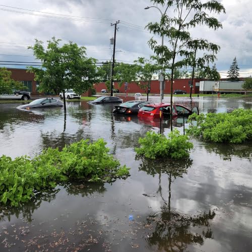 Environment Canada: 'We saw 15 days worth of rain in 4 hours'