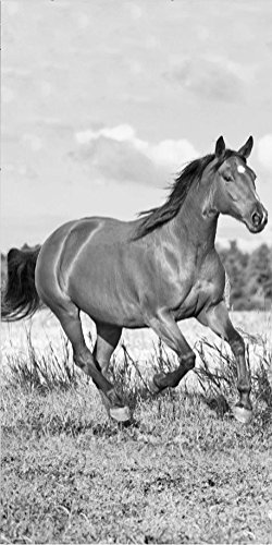 Horse Riding Cavalli Telo Mare 70 x 140 cm Bianco