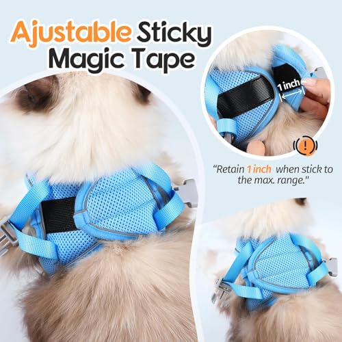 Harnais et laisse pour chat ajustable orange bleu taille S
