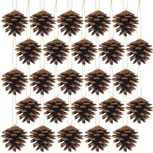 Winlyn 30 Pcs Christmas Pinecones Ornaments Natural Rustic Pine C...