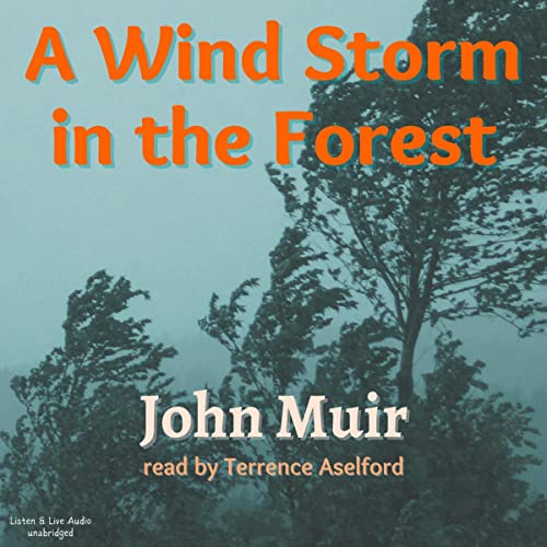 A Wind Storm in the Forest by John Muir episode artwork