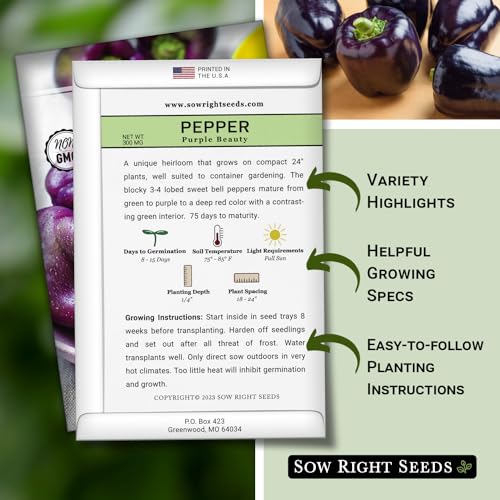 Sow Right Seeds - Purple Beauty Pepper Seeds for Planting - Non-GMO Heirloom Packet with Instructions to Plant and Grow an Outdoor Home Vegetable Garden - Sweet Bell Variety, Violet Purple (1) - Image 2