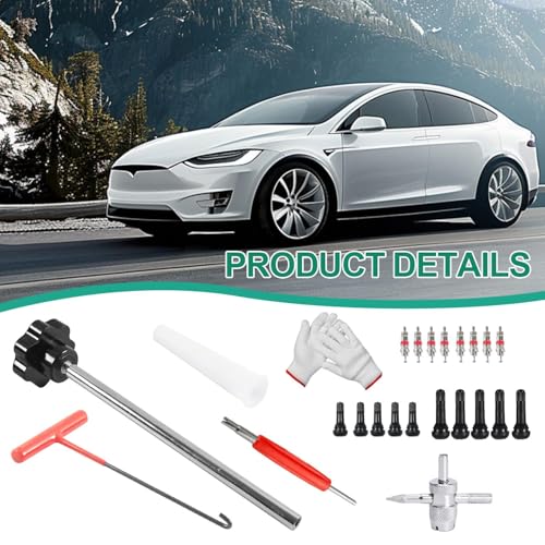 Taipintee 21 Stück Reifenventil Werkzeug Set, Metall und Kunststoff, Inklusive Vorbauabzieher, Hakenwerkzeug, Hilfswerkzeug und Handschuhe, für Auto, LKW, Motorrad (Schwarz und Rot)