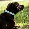 Tella & Stella - Silicone Dog Collar for Medium Dog - 13" to 18" Adjustable & Waterproof - Lined with Neoprene for Comfort - Chrome D Ring for Hooking The Leash(T-Rex,Medium) #2