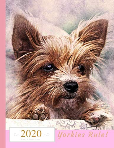 Yorkies Rule! 2020 Weekly & Monthly Planner: Yorkshire Terrier Dog Cover, Large Organizer Diary with Goal Setting and Gratitude Sections (Cute Dogs 8.5x11)