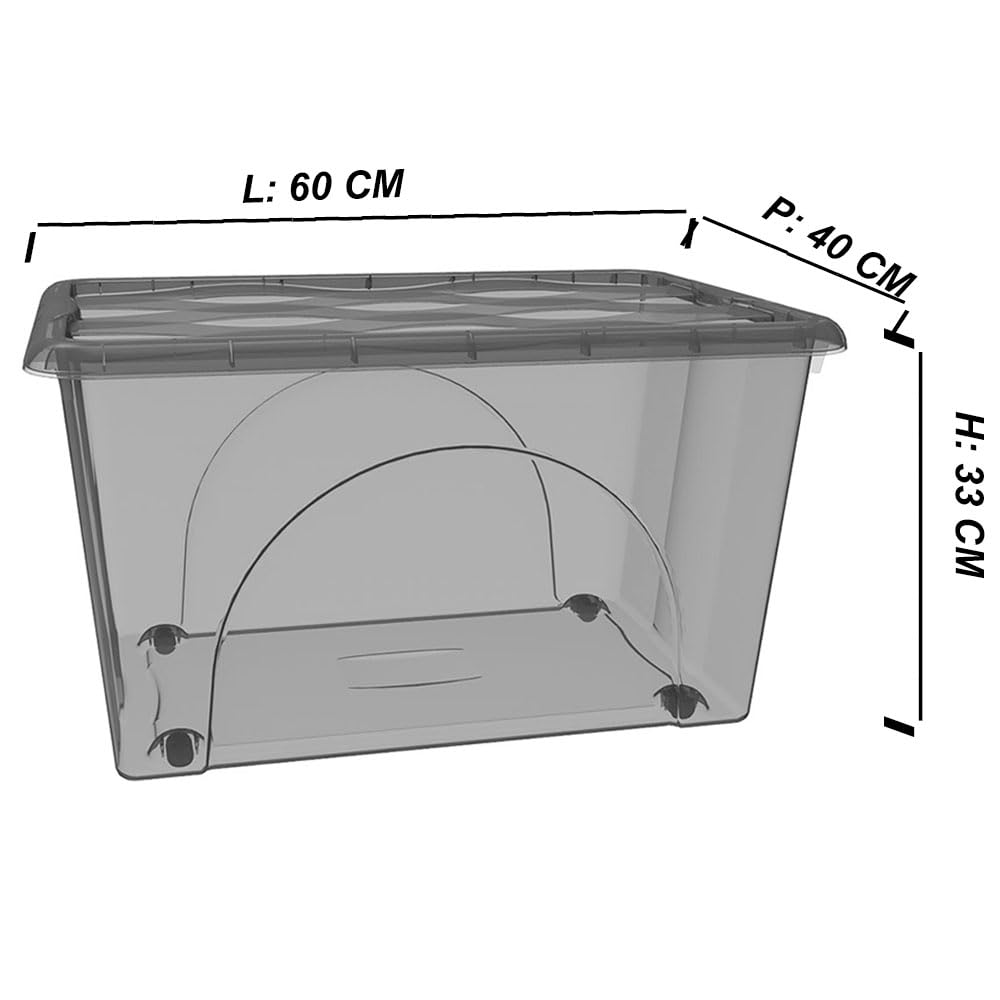 2 Box Portaoggetti Contenitore 60 LT STORAGE Scatole Multiuso 60x40x33 Organizer Salvaspazio con Coperchio Fume 4 Ruote Sovrapponibile cassa organizzazione cesta indumenti Casa Bagno Ufficio