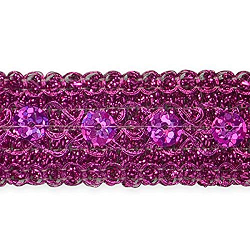 Trims By The Yard Adriana Sequin Metallic Braid Trim, 20 Yards, Fuchsia #TOP9