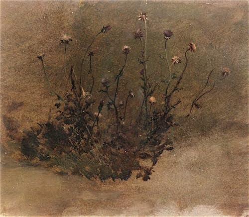 Lienzo de flores silvestres Elihu Vedder pintura decorativa para el comedor