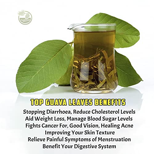 Image of 2.1oz Premium Dried Sea Moss, 100% Natural, Make 40oz of Gel, Wildcrafted, Caffeine Free, Sugar Free, Gluten Free, Vegan. (Avocado Leaves, 1oz (Pack Of 1))