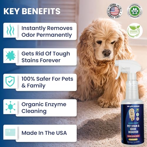 We Love Doodles Pet Stain & Odor Remover, Dog Urine Enzyme Cleaner, Organic Enzymatic Ingredients, Pee Spray Eliminator For Carpet, Made in USA, Professional-Grade Kid & Pet-Friendly, 16 oz We Love Doodles Pet Stain & Odor Remover, Dog Urine Enzyme Cleaner, Organic Enzymatic Ingredients, Pee Spray Eliminator For Carpet, Made in USA, Professional-Grade Kid & Pet-Friendly, 16 oz
