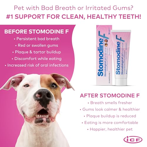 Stomodine F 30ml