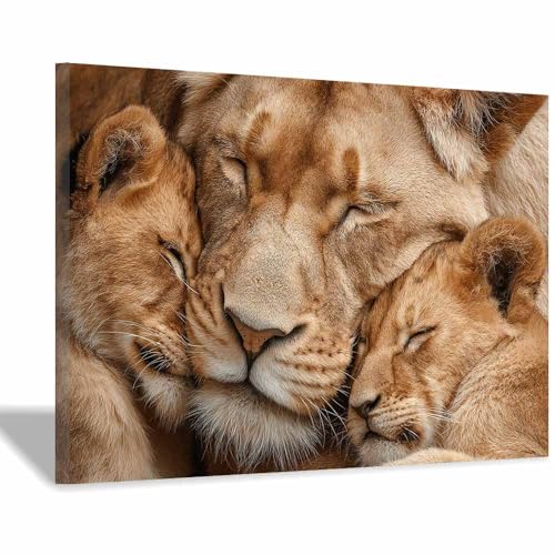 Peinture murale sur toile lions câlins pour habiller un mur vide avec un cadre brun 70x100cm